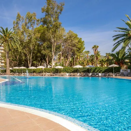 Sol By Melia Palmanova Mallorca-3